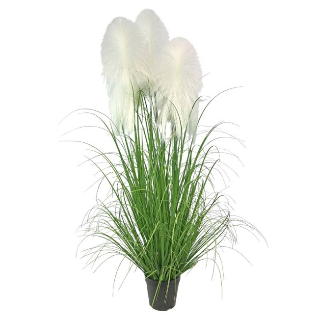 Дерево осока 2815