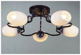 Светильник потолочный ЭЛЕКТРА 01432-0.3-05N