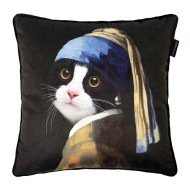 Подушка Funny Art №1 45х45 Под-ФАЗ-45х45