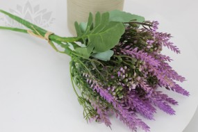 Лаванда PLH 27012-1/1572-1