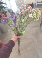 Цветок новый 781