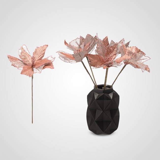 Пуансетия 210196