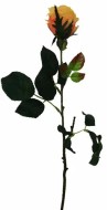 Цветы "Роза" 46см DH-36043