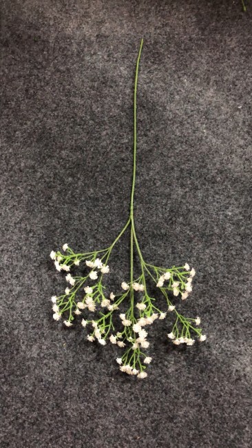 Гипсофила 3/2597