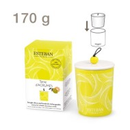 Аромасвеча деко "Цитрусовый сад", 170 г ТЕА-009