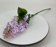 Сирень (новый) KLS3144-3/2606-1