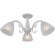 Светильник потолочный IL0232-3CSQ-24 SS SPICA