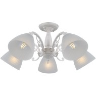 Светильник потолочный IL0232-5CSQ-24 SS SPICA