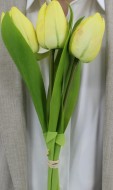 Тюльпан желтый 2730-1