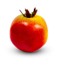 Фрукты иск. Гранат 8 см 0599-19-07