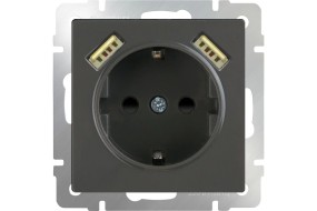 Розетка с заземлением, шторками и USBх2 серо-коричневый WL07-SKGS-USB*2-IP20