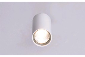 Светильник "Буфер" РС21863 WT+CR/1C