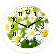 Часы настенные EC-98 Ромашки 27,5*3,8см (круглые) плавный ход, пластик