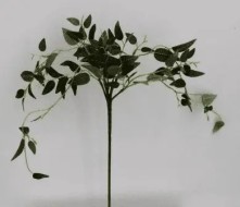 Цветы "Традесканция" 49см DN-49722