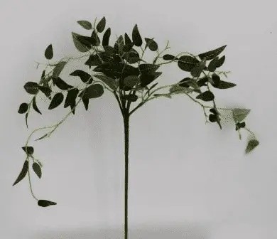 Цветы "Традесканция" 49см DN-49722