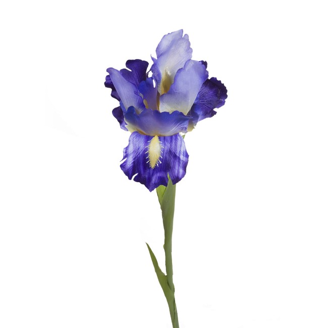 Ирис синий 70см 9F27020-1382