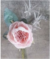 Роза ГРИН КАНТРИ 832-123