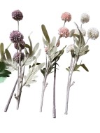 Хризантема 2162