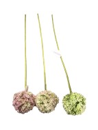 Лук шары 2791