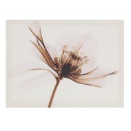 Панно 766581 L40 W1,5 H30 см Панно 766581 L40 W1,5 H30 см