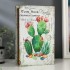 Шкатулка-книга "Кактусы" 4785033 зеркало 26х17,5х5 см дерево кожзам