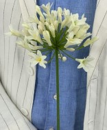 Лотос сотен семян 2112