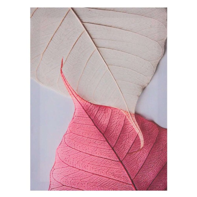 Панно 766598 L30 W1,5 H40 см