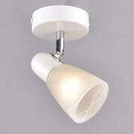 Спот "Модуль" РС20723 WT+CR/1W