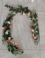 Шиповник лиана розовый