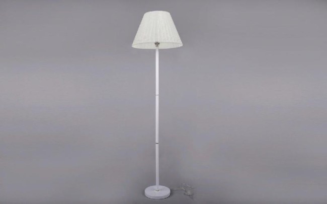 Торшер РС20653 WT+FG/1F (shade+body)