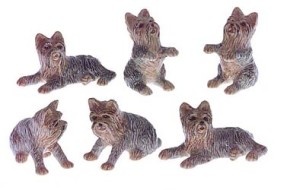 Йорк 4 см K175