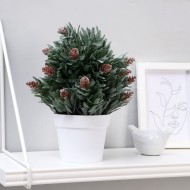 Бонсай в горшке "Хвойный куст" 10х24 см 4736478