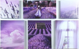 Модульная картина 125*80/6 S-0603 01103288