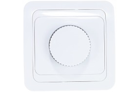 Диммер "Валери" белый 500 Вт В0101