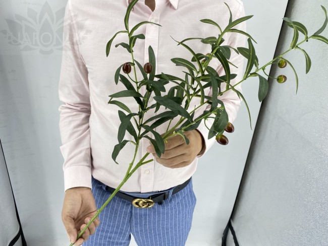 Зелень 6/1642 олива