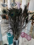 Натуральное павлинье перо 255