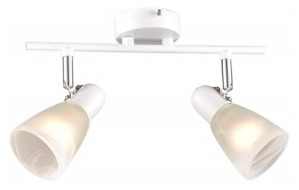 Спот "Модуль" РС20723 WT+CR/2C