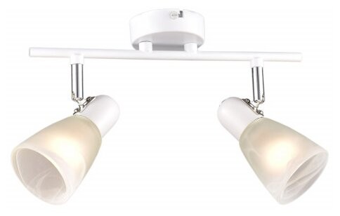 Спот "Модуль" РС20723 WT+CR/2C