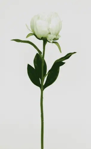 Цветы "Пион" 49см DN-53583